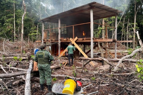 Cerâmicas são embargadas e ocupações irregulares removidas na RDS do Rio Negro durante ação do Ipaam e Polícia Militar