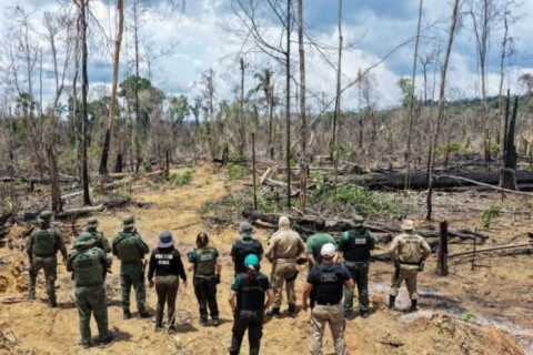 Ipaam aplica mais de R$ 13 milhões em multas na 8ª etapa da Operação Tamoiotatá 5