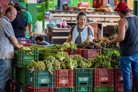 Anvisa Inicia Novo Ciclo de Coleta de Amostras para Monitoramento de Agrotóxicos em Alimentos